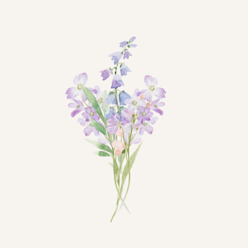 lifestyle flower icon background in color